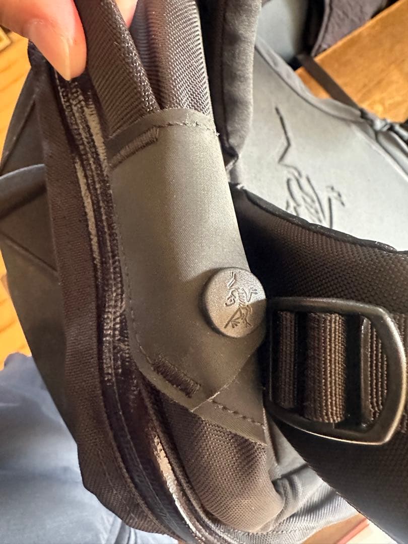 ARC'TERYX arro22 BLACK 国内正規品　現行モデル