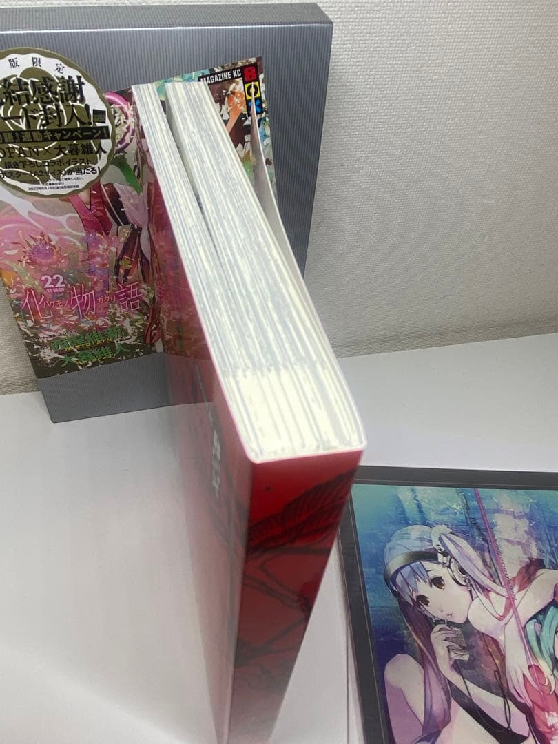 化物語 バケモノガタリ 22 特装版(イラストカード9枚付き)