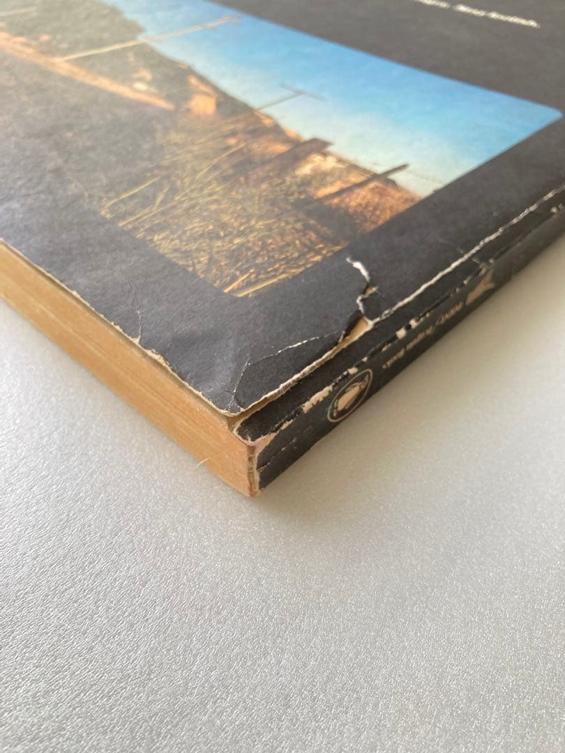 洋書 Whole Earth Epilog