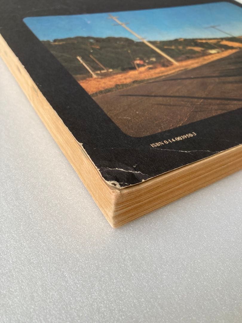 洋書 Whole Earth Epilog