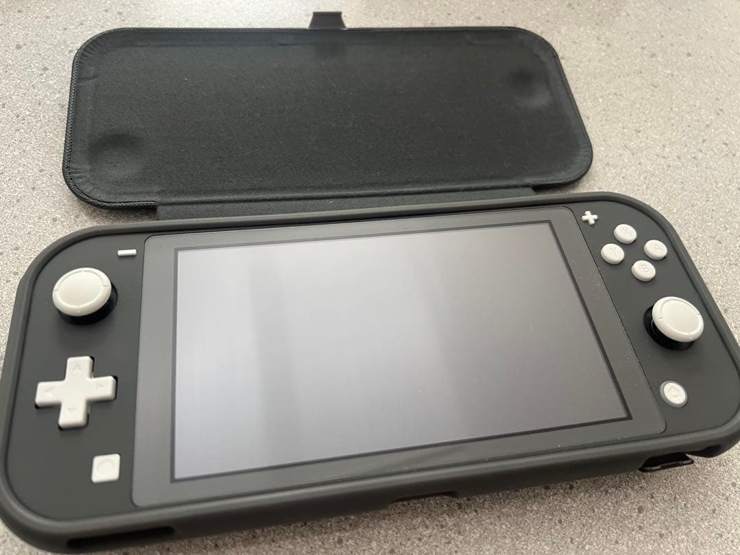 【超美品】Nintendo Switch Lite グレー 本体　ケース付き