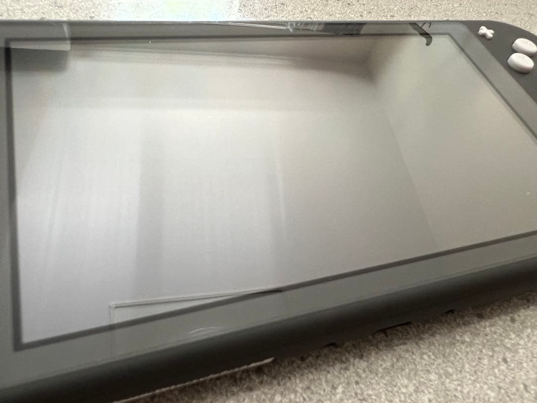 【超美品】Nintendo Switch Lite グレー 本体　ケース付き