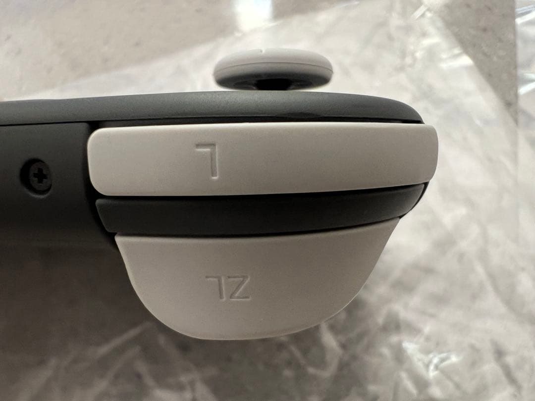 【超美品】Nintendo Switch Lite グレー 本体　ケース付き