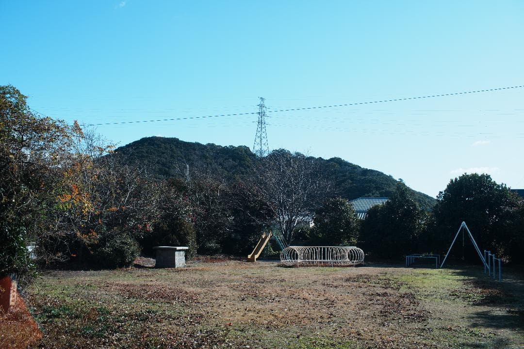 【整備＆テスト済】オリンパス Zuiko auto-w 35mm F2 441