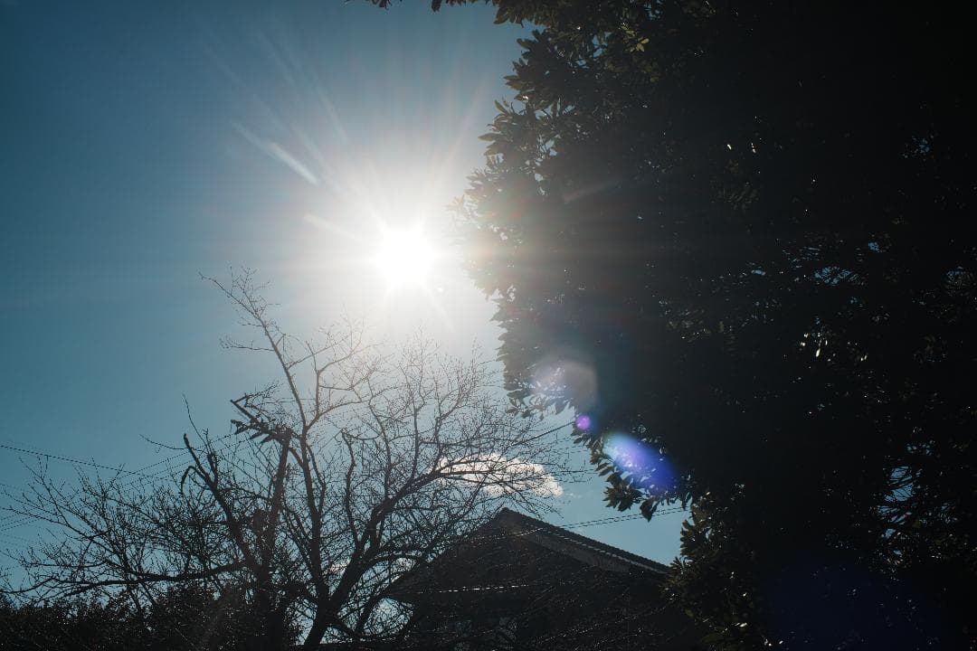 【整備＆テスト済】オリンパス Zuiko auto-w 35mm F2 441