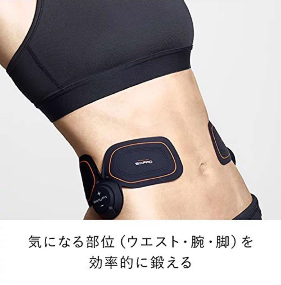 training gear sixpad アブズフィット&ボディーフイット