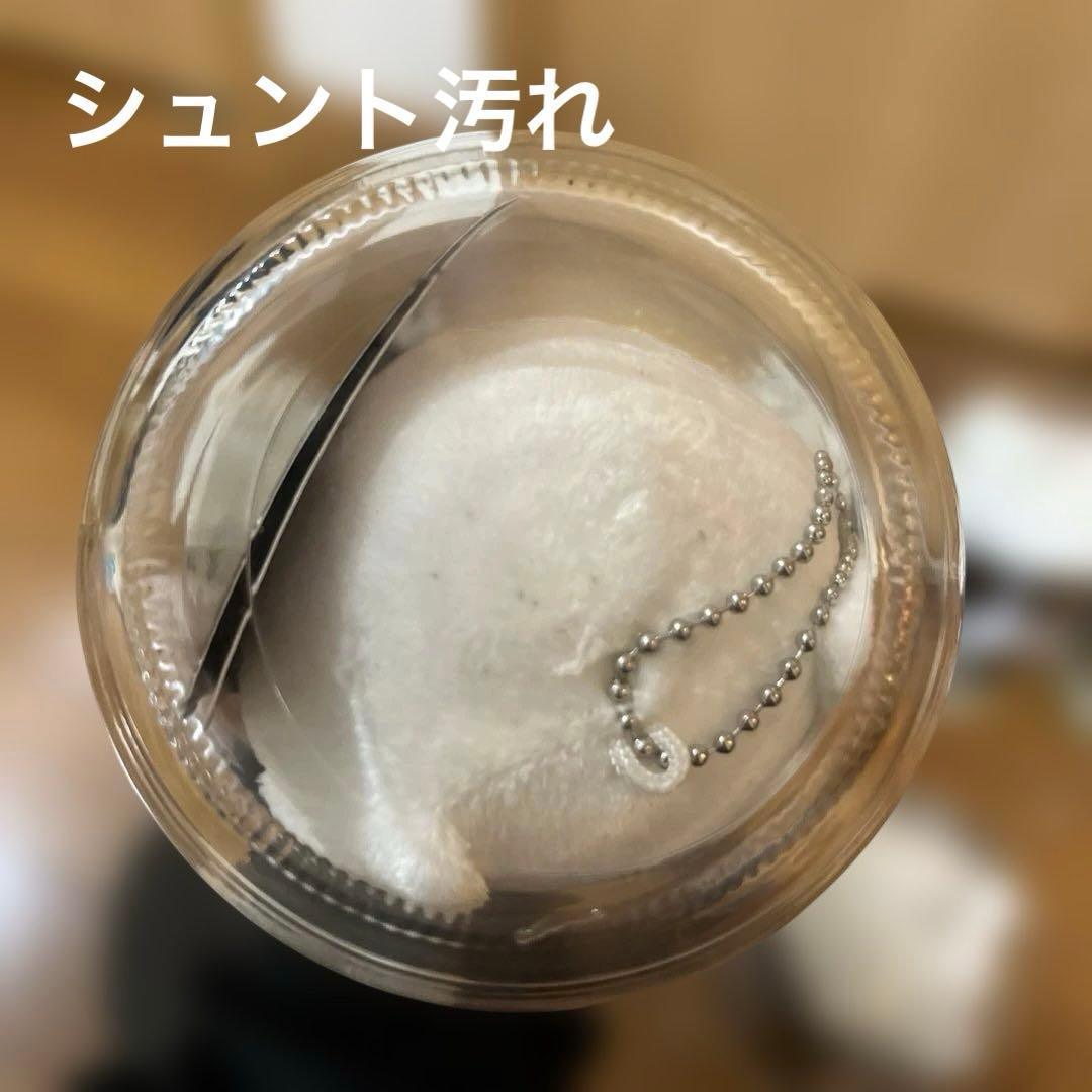 引越し日迫ってきているため値下げ早め中！BE:FIRST くま　7体セット