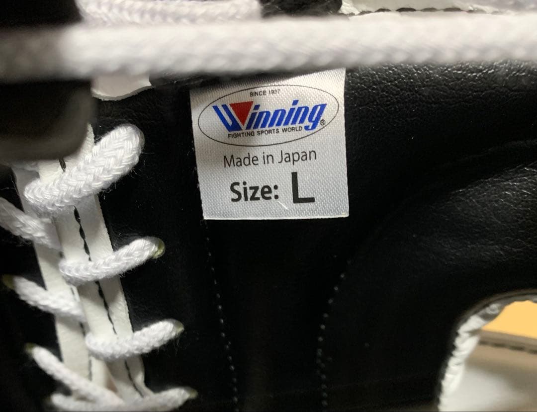 Winning ヘットギア Fg-2900 size L
