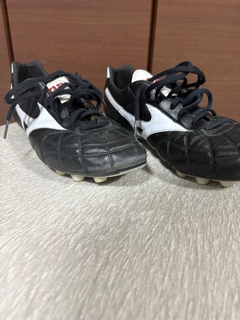 モレリア2JAPANクロスステッチ26cm