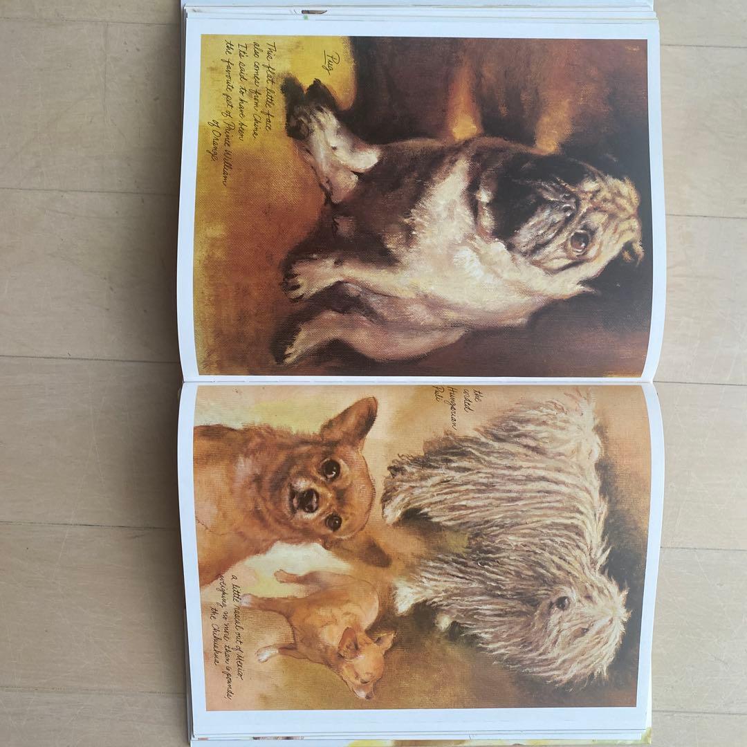 Dogs 作者Rien Poortvliet 水彩画(英語版)