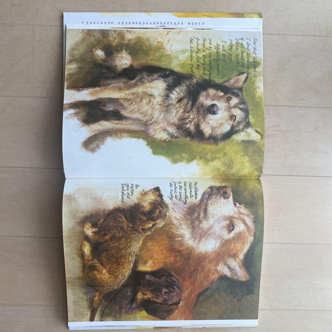 Dogs 作者Rien Poortvliet 水彩画(英語版)