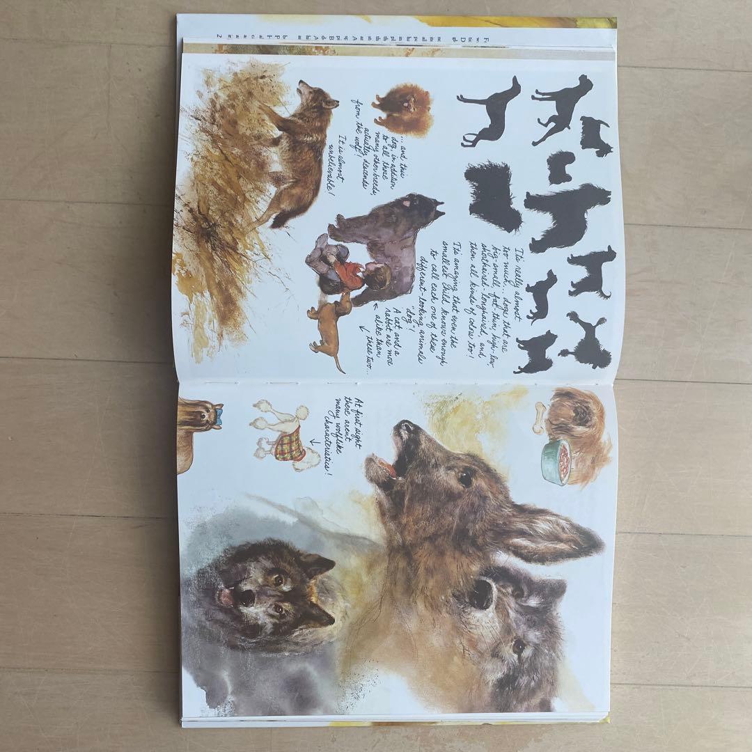 Dogs 作者Rien Poortvliet 水彩画(英語版)