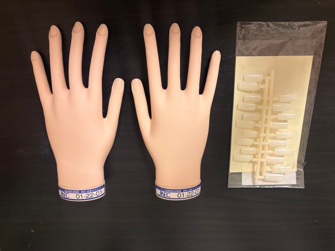 JNEC 認定モデルハンド【骨折ナシ】