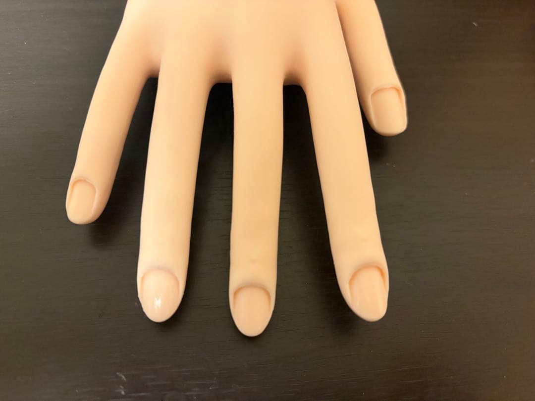 JNEC 認定モデルハンド【骨折ナシ】