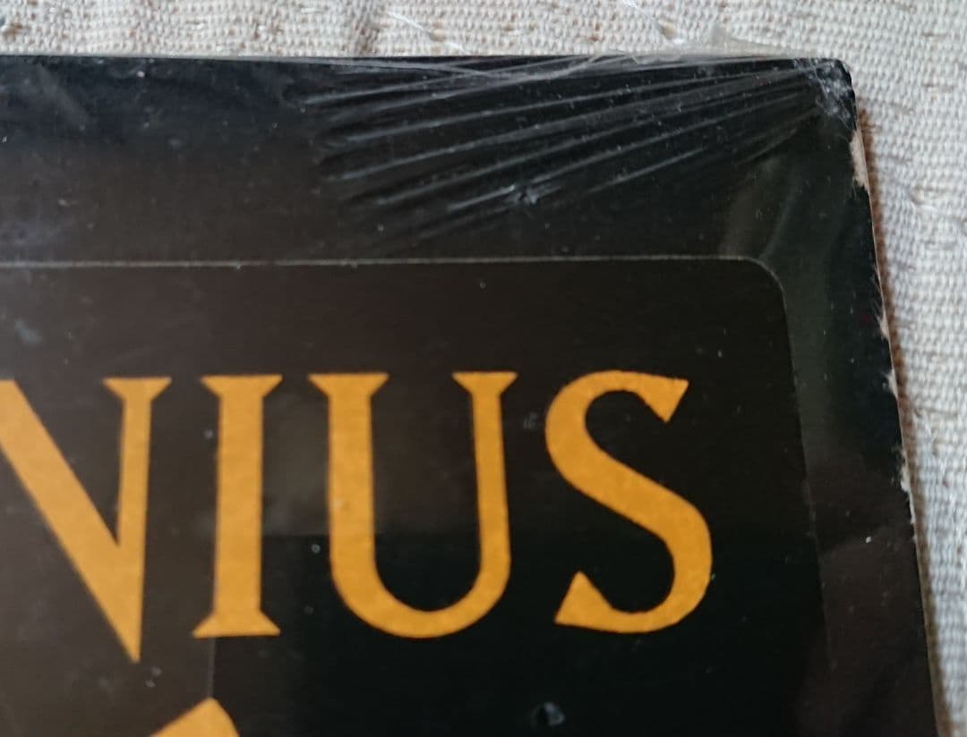 未開封 新品 シールド GENIUS GZA WU-TANG CLAN