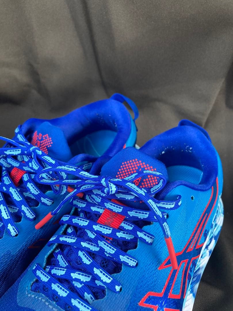 スパイク・シューズ Asics Gel Noosa Tri-13 'Boston'