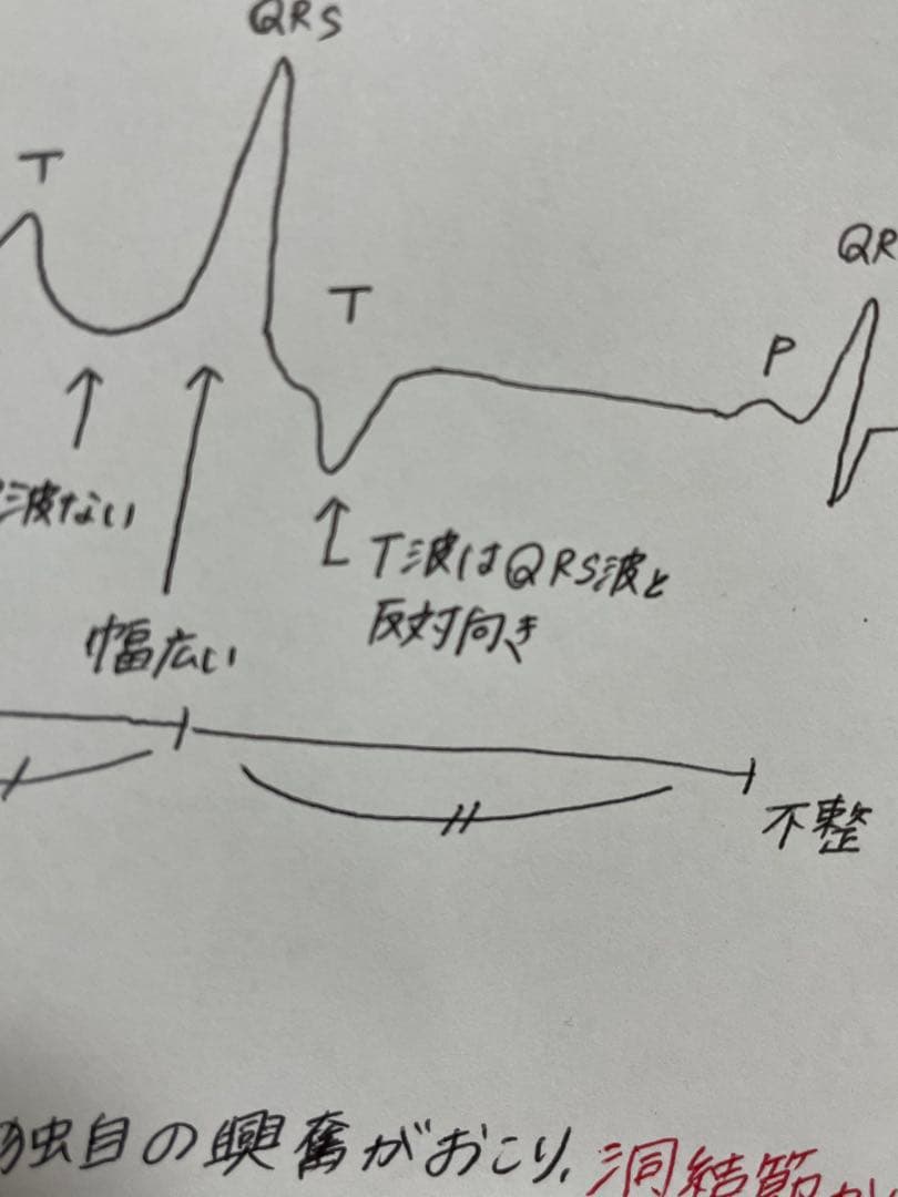 【セット割引！】循環器疾患をわかりやすく解説！　看護師国家試験対策　実習　必修