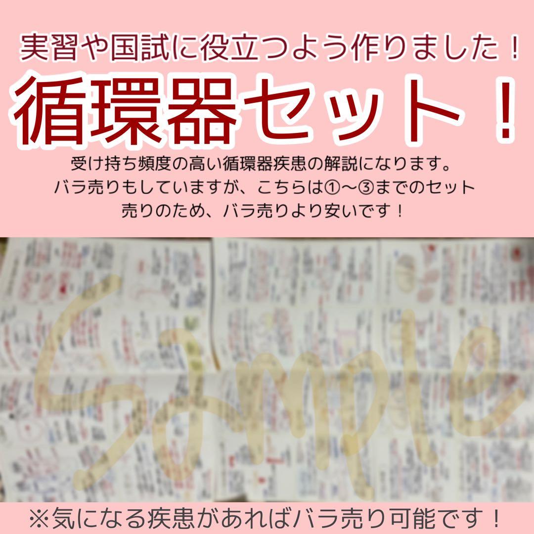 【セット割引！】循環器疾患をわかりやすく解説！　看護師国家試験対策　実習　必修