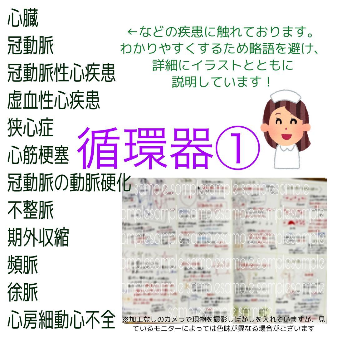 【セット割引！】循環器疾患をわかりやすく解説！　看護師国家試験対策　実習　必修