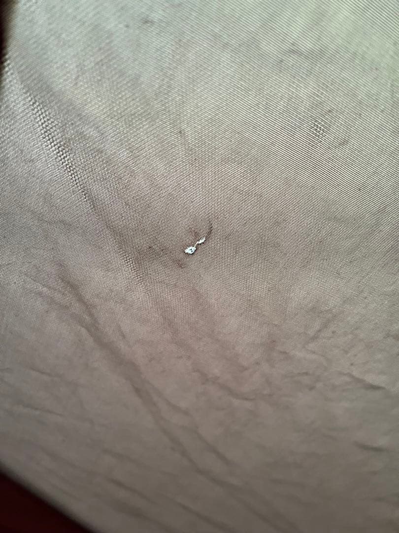 スノーピーク リビングシェルロング　中古セット