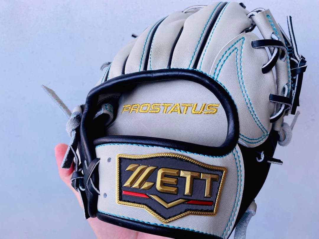 【最高級】プロステイタス　硬式オーダーグラブ