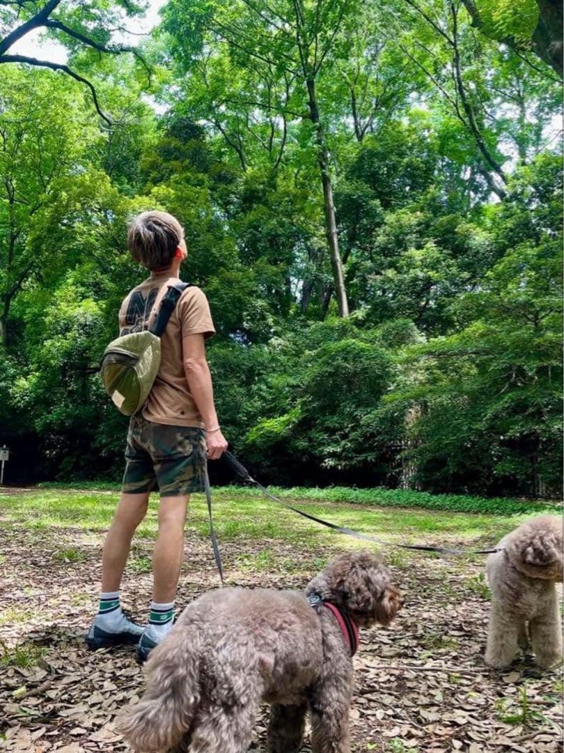 激レア スタンダードカリフォルニア　ソックス　キムタク