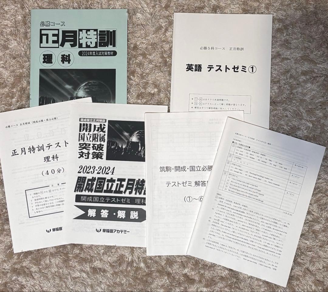 ⚠️大幅値下げしまた⚠️早稲田アカデミー　中学3年生　まとめ売り