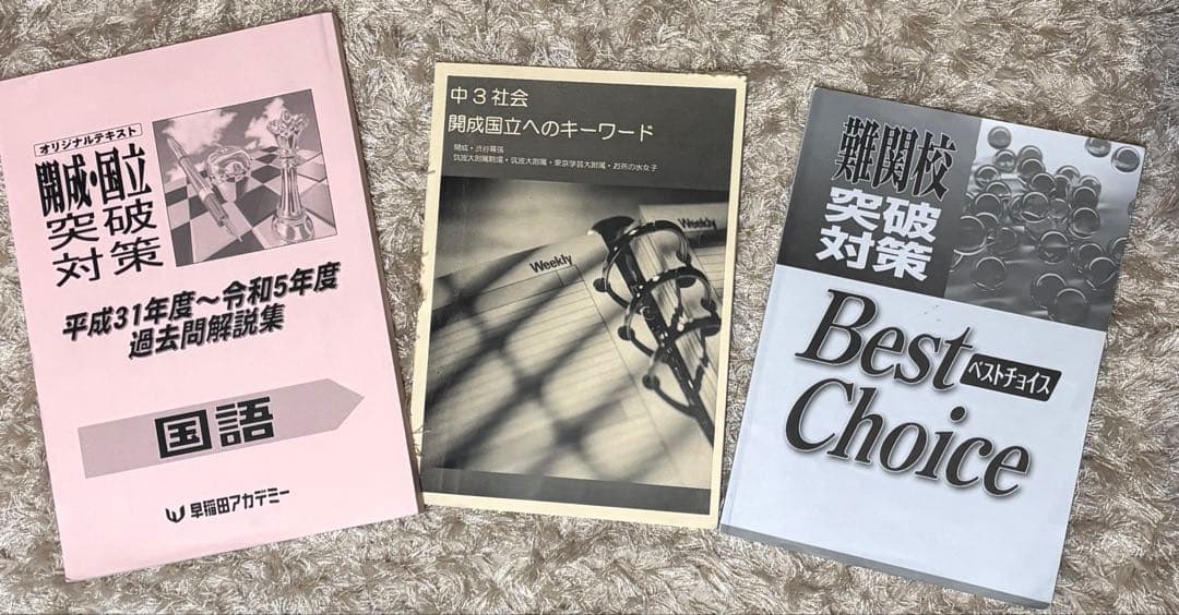 ⚠️大幅値下げしまた⚠️早稲田アカデミー　中学3年生　まとめ売り