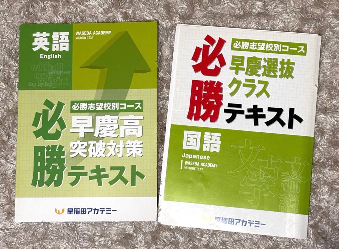 ⚠️大幅値下げしまた⚠️早稲田アカデミー　中学3年生　まとめ売り