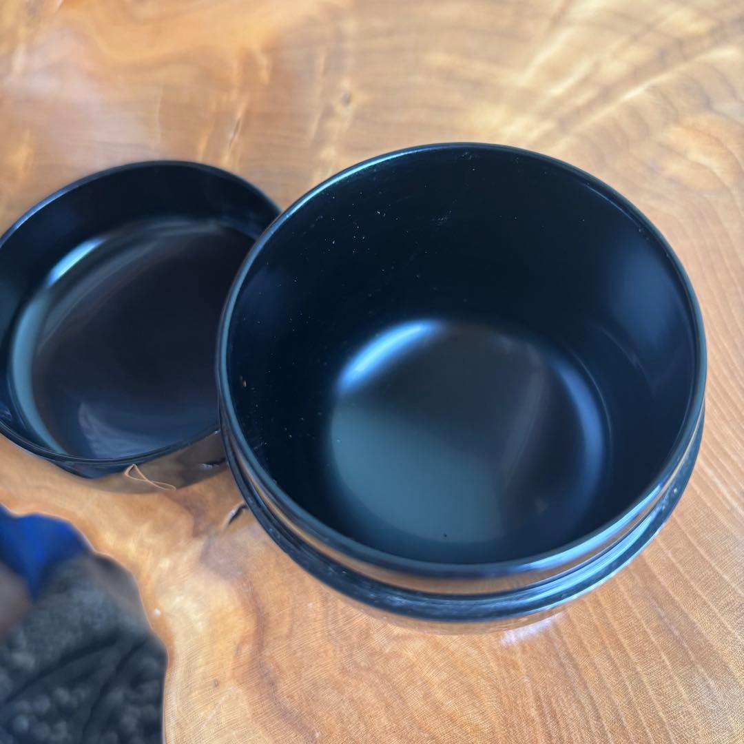 蔦蒔絵 中棗 漆嶺作 蒔絵師 茶道具 共箱