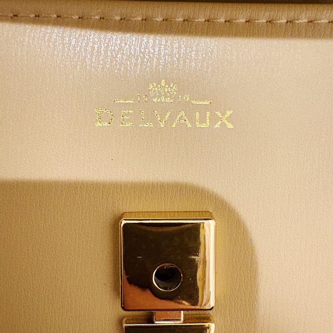 早い者勝【新品未使用】デルヴォー　タンペート　PM ショルダー　ハンドバッグ