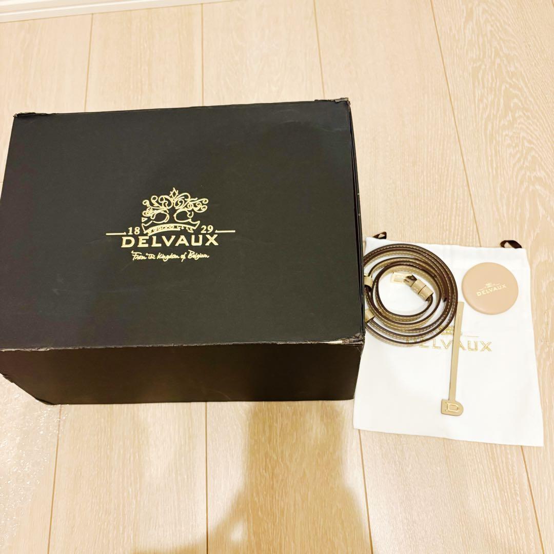 早い者勝【新品未使用】デルヴォー　タンペート　PM ショルダー　ハンドバッグ