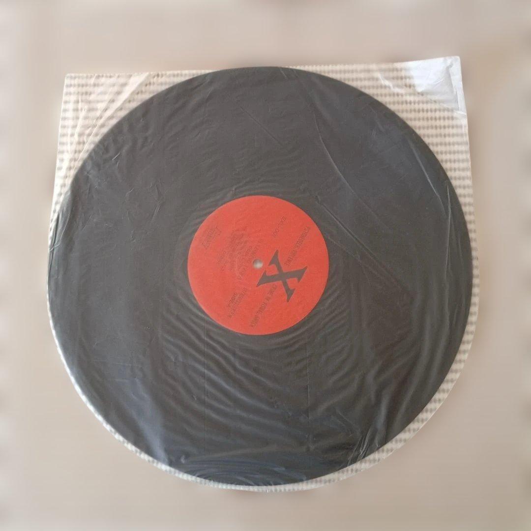 X 「VANISHING VISION」 LP