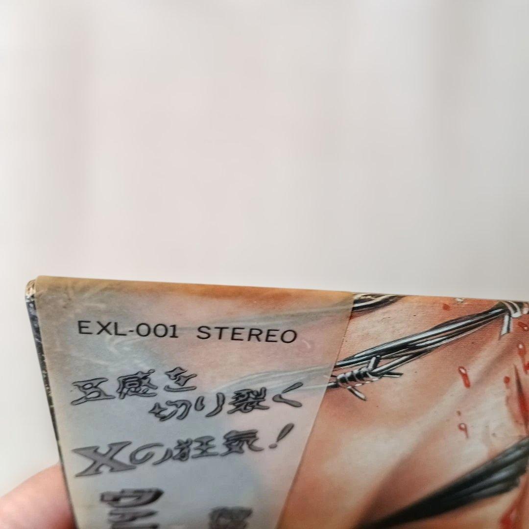 X 「VANISHING VISION」 LP