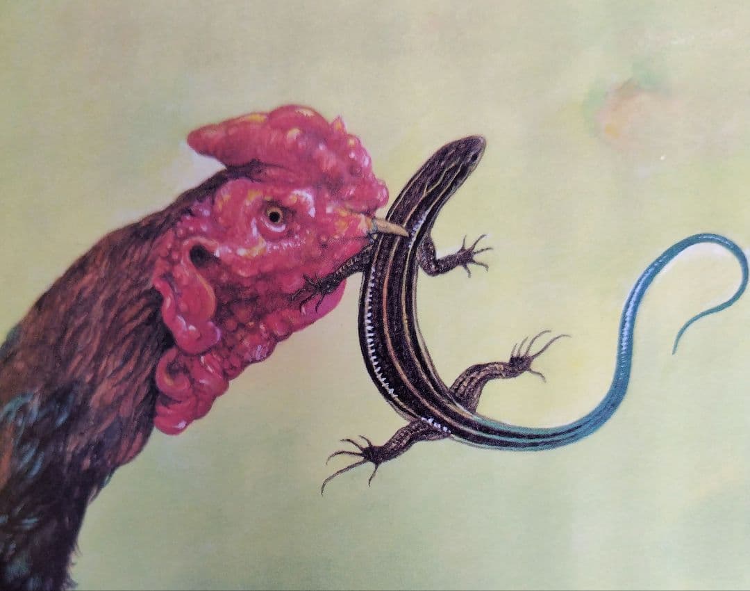 【希少】とかげのしっぽ （新日本動物植物えほん） / 椋 鳩十他