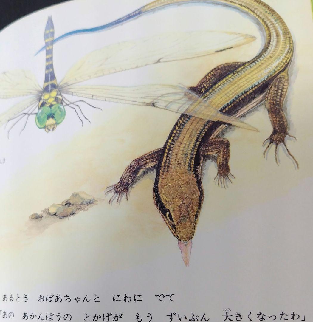 【希少】とかげのしっぽ （新日本動物植物えほん） / 椋 鳩十他