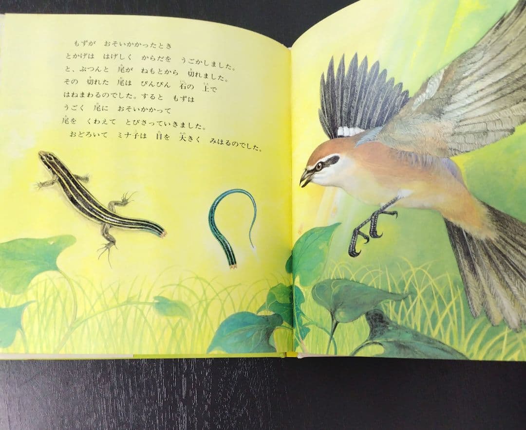 【希少】とかげのしっぽ （新日本動物植物えほん） / 椋 鳩十他