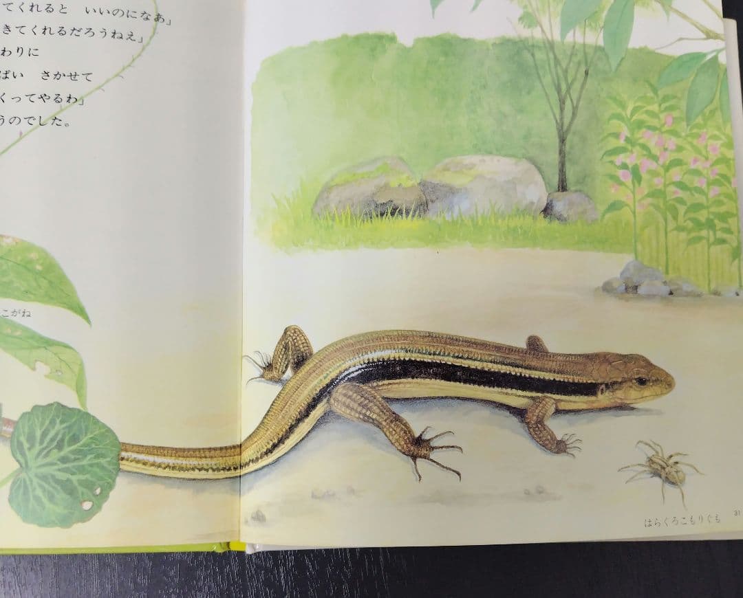 【希少】とかげのしっぽ （新日本動物植物えほん） / 椋 鳩十他