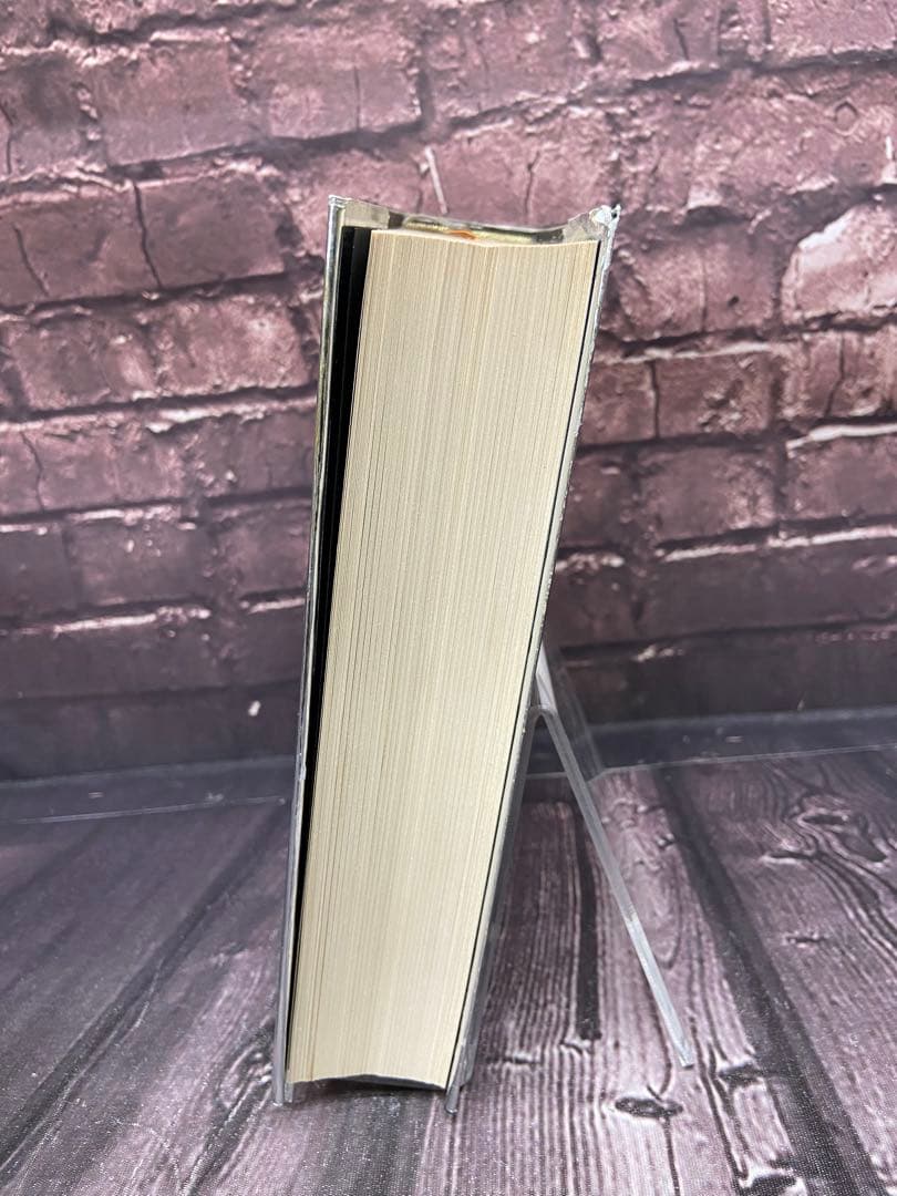 ポケモン・ストーリー　畠山けんじ　久保雅一