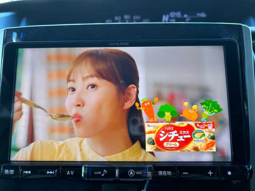 専用になります　ALPINE X9Z 9インチ ナビ　BIG-X 新品アンテナ