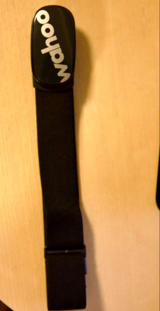 Wahoo (ワフー)ELEMNT BOLT サイクルコンピュータ一