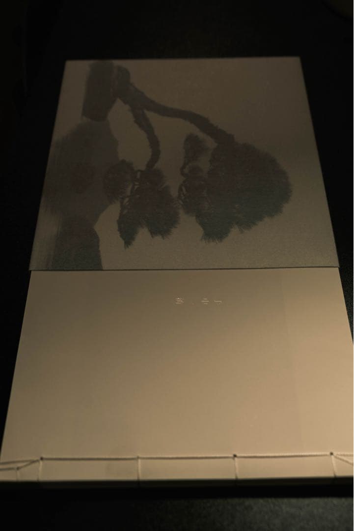 山本昌男 「手中一滴」 直筆サイン入り限定品T&M Projects 盆栽