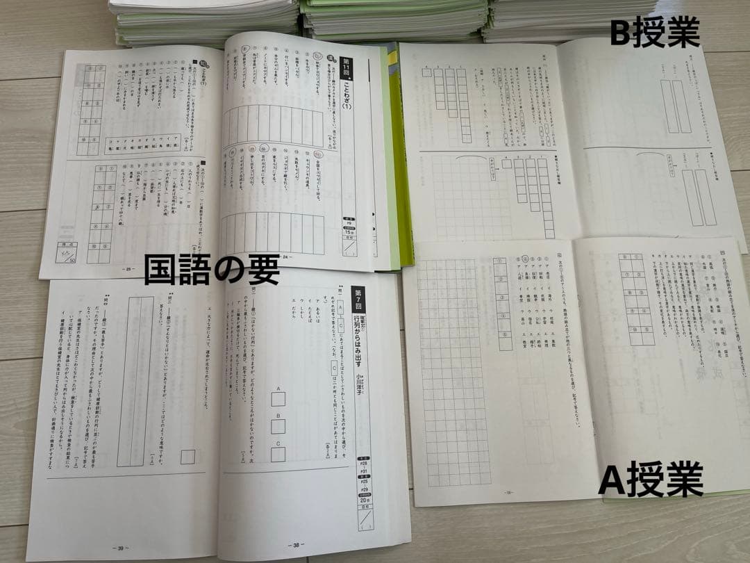 【2025受験組】﻿sapix 2023年度5年生4教科テキストのフルセット