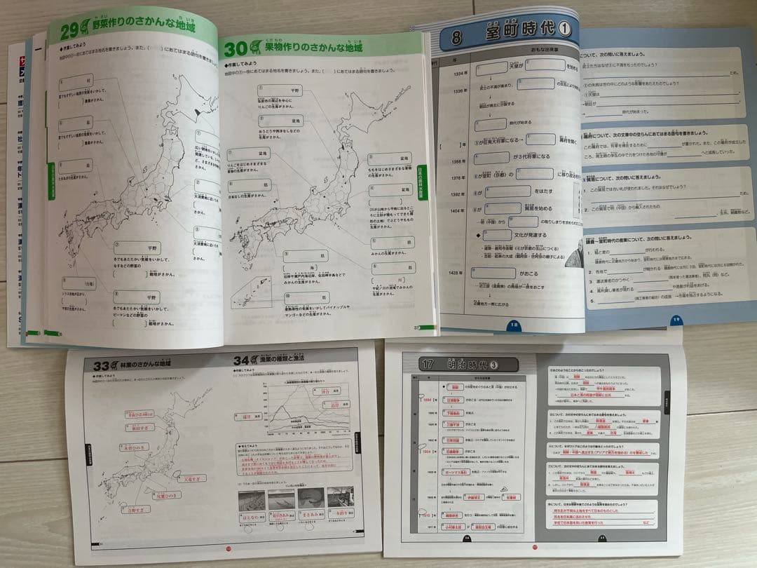 【2025受験組】﻿sapix 2023年度5年生4教科テキストのフルセット