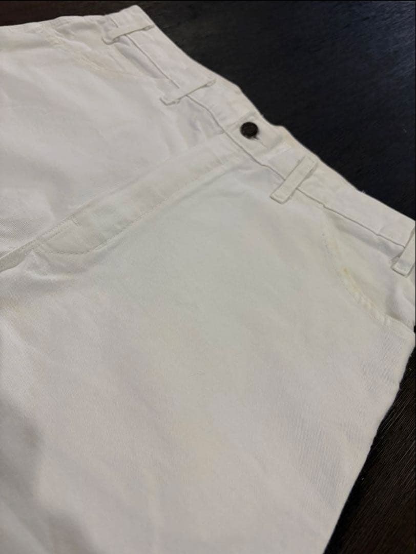 Dickies ディッキー　ペインターパンツ　SHERWIN WILLIAMS