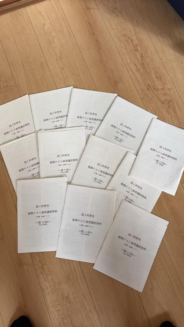 鉄緑会　高3世界史　後期テスト演習全13回（４回目抜け、13回目演習分抜け）