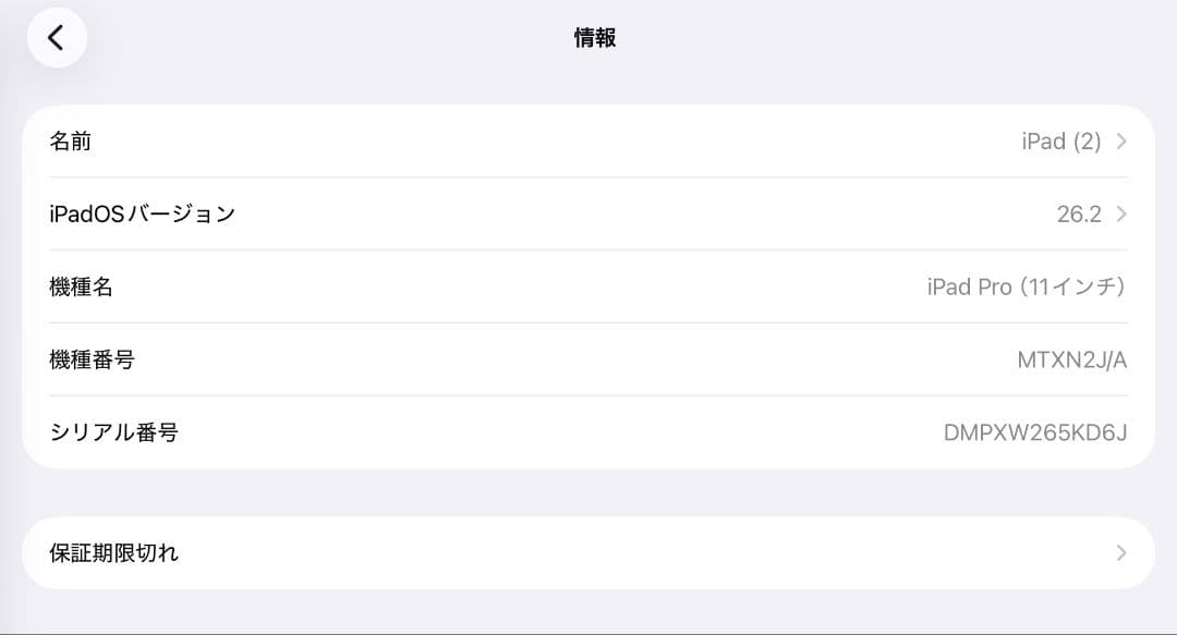 【画面焼けあり・本体のみ】iPad Pro 11インチ 第1世代 Wi-Fi