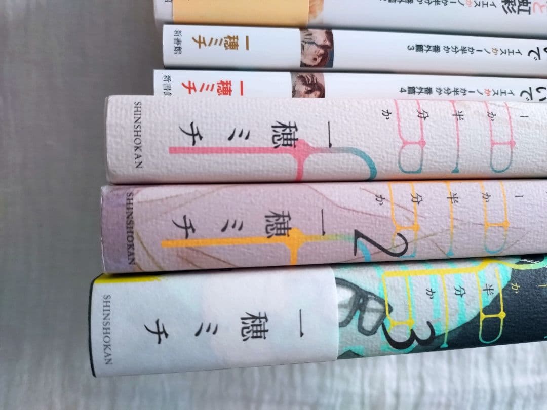 BL小説 イエスかノーか半分か シリーズ まとめ売り 一穂ミチ