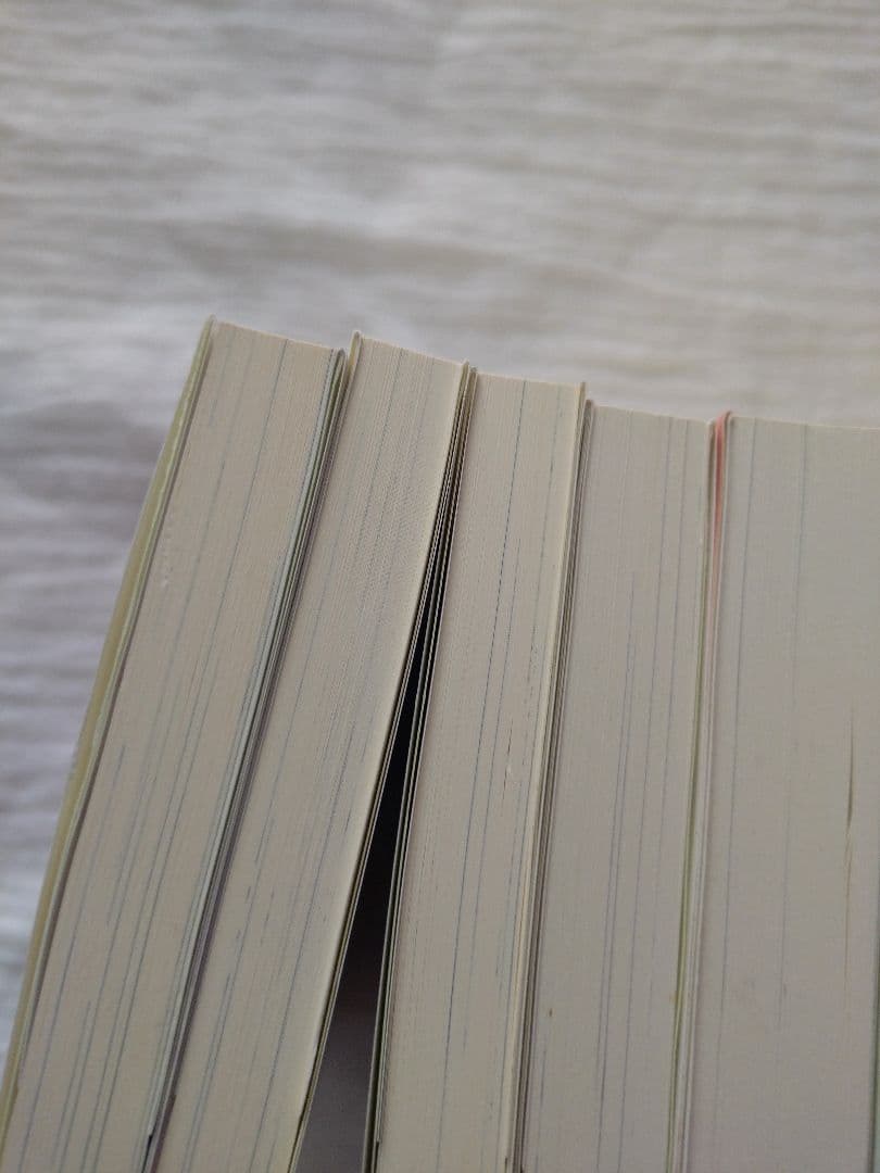 BL小説 イエスかノーか半分か シリーズ まとめ売り 一穂ミチ