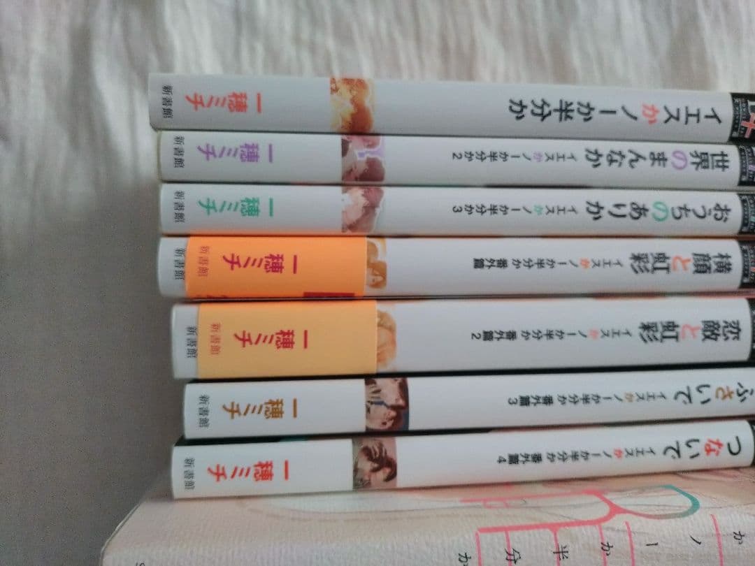 BL小説 イエスかノーか半分か シリーズ まとめ売り 一穂ミチ